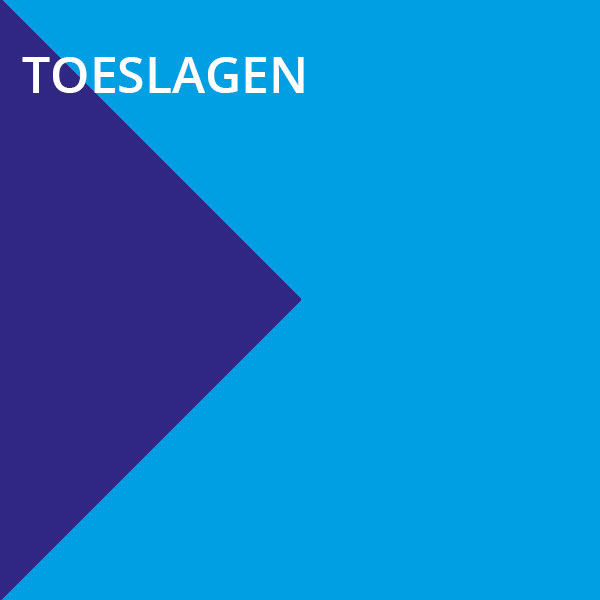 Toeslagen